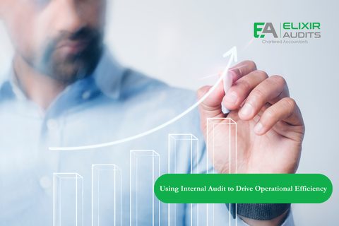 Using Internal Audit to Improve Efficiency